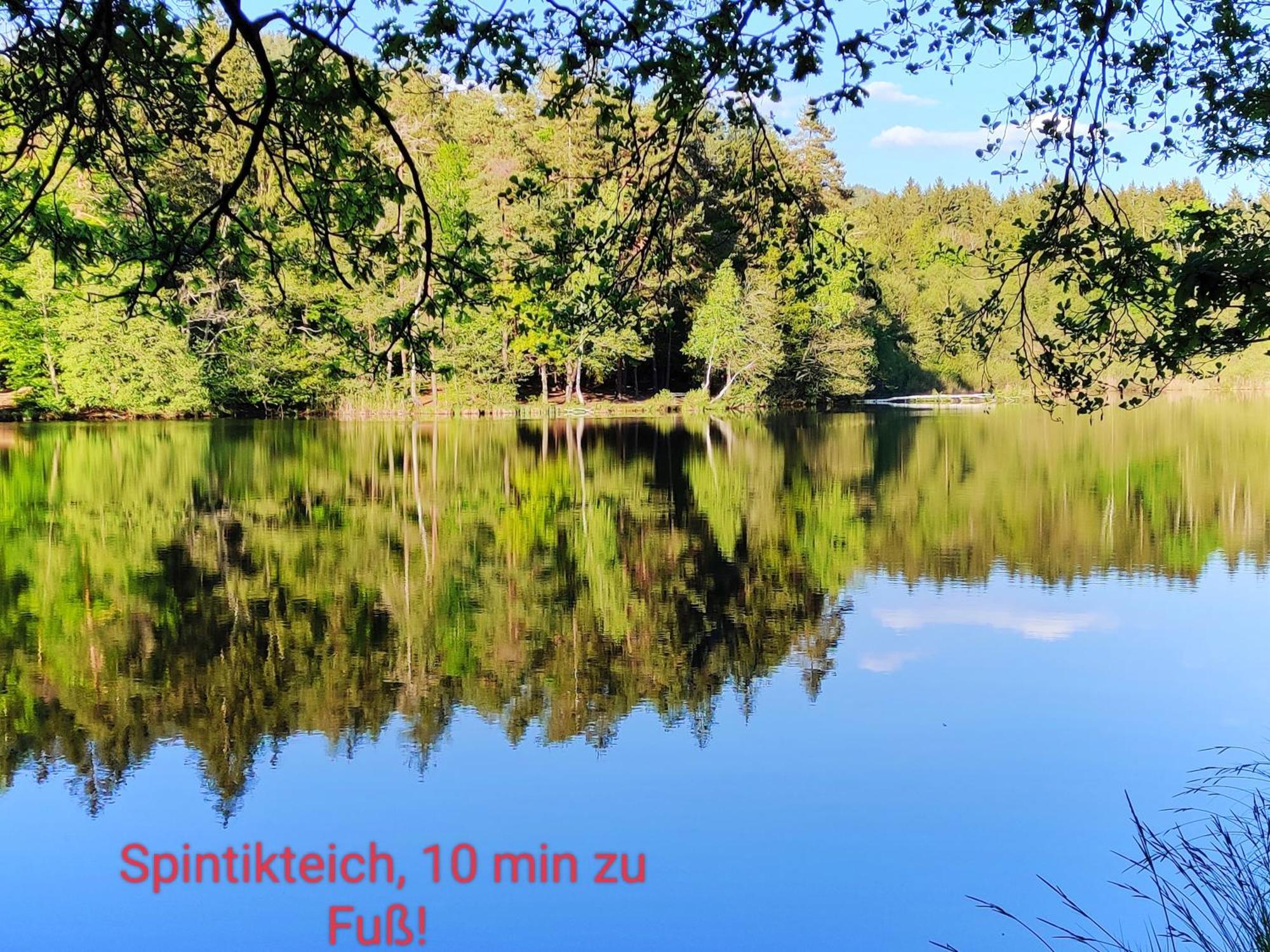Wellness Apartment Keutschach Lakes Valley 코이차흐 암 제 외부 사진